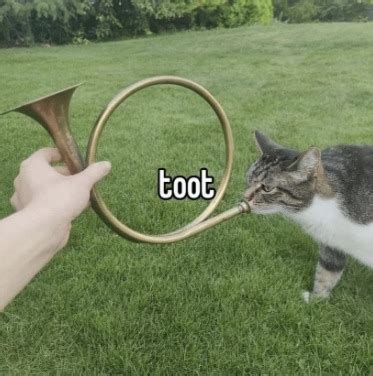 toot gif|toot meme.